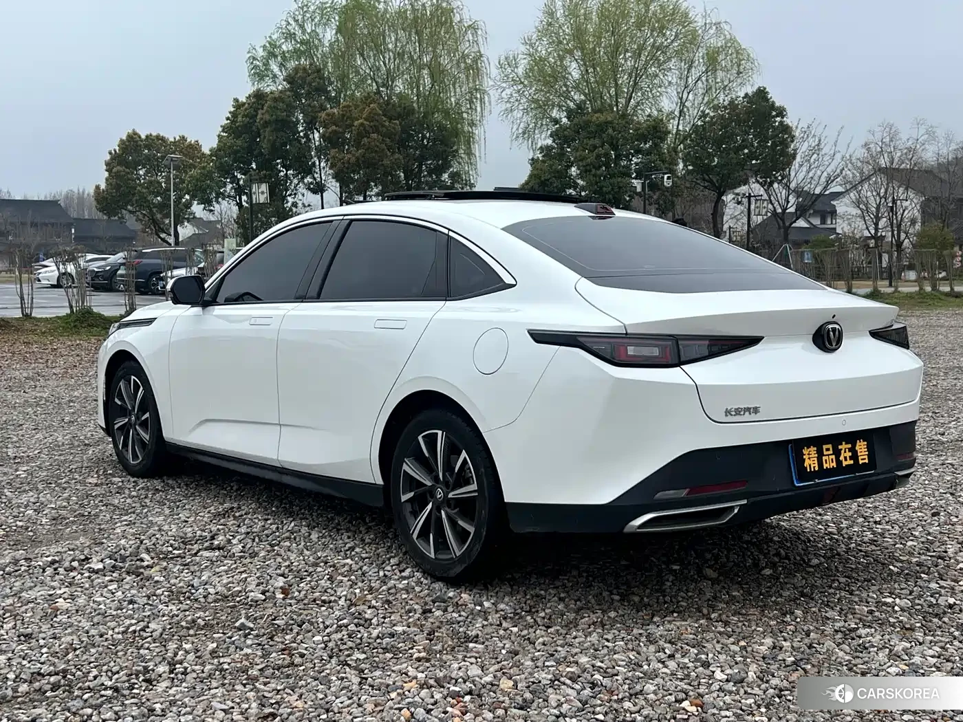 Chang'an Yidong id 4589083 из Китая 11