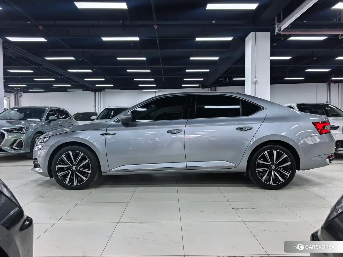 Skoda Speed pie id 4578277 из Китая 18