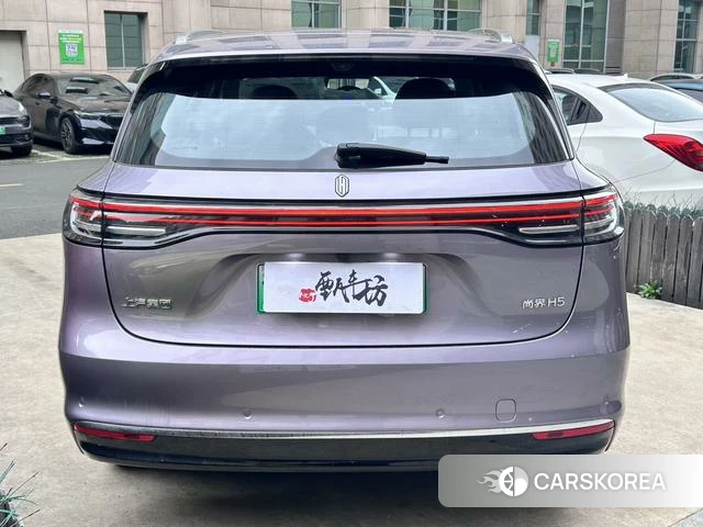 Shangjie H5 id 4239204 из Китая 14