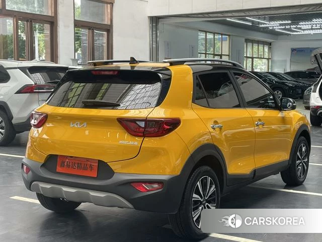 Kia Yi Ran id 4259523 из Китая 9