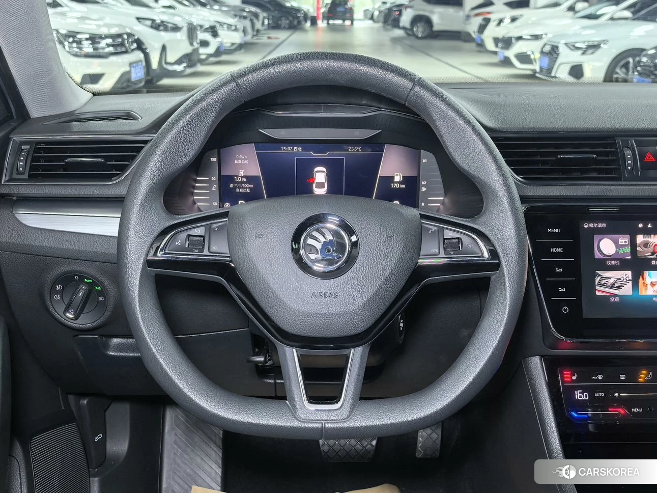Skoda Speed pie id 4452178 из Китая 18