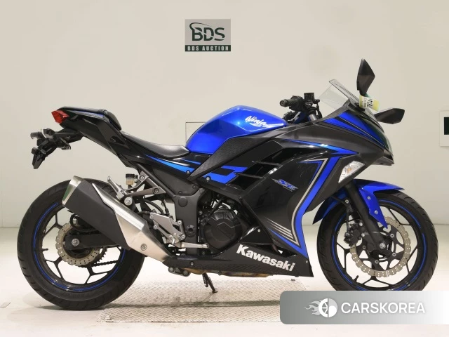 Kawasaki NINJA 250 2015 из Японии