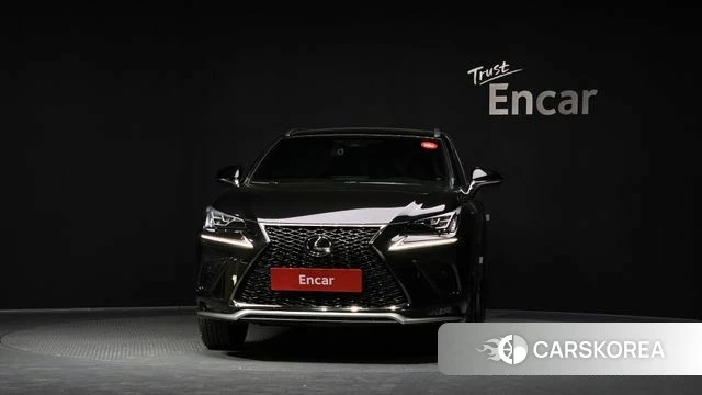 Lexus NX300 id 4225555 из Кореи 23