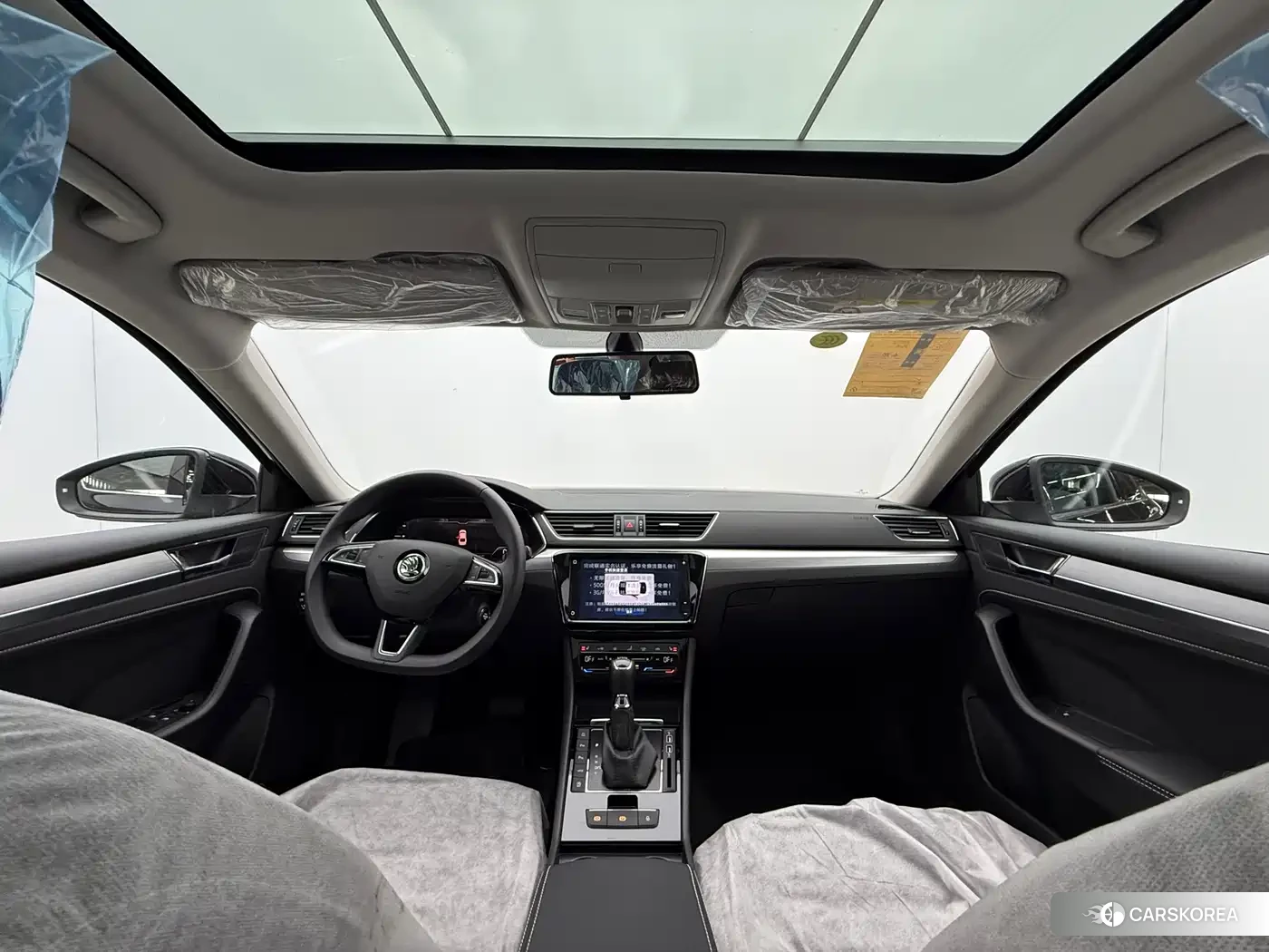 Skoda Speed pie id 4538744 из Китая 14