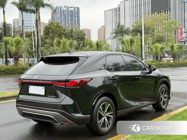 Lexus RX id 4359172 из Китая 7