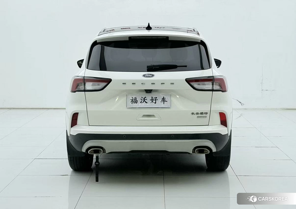 Ford Ruiji id 4455068 из Китая 14