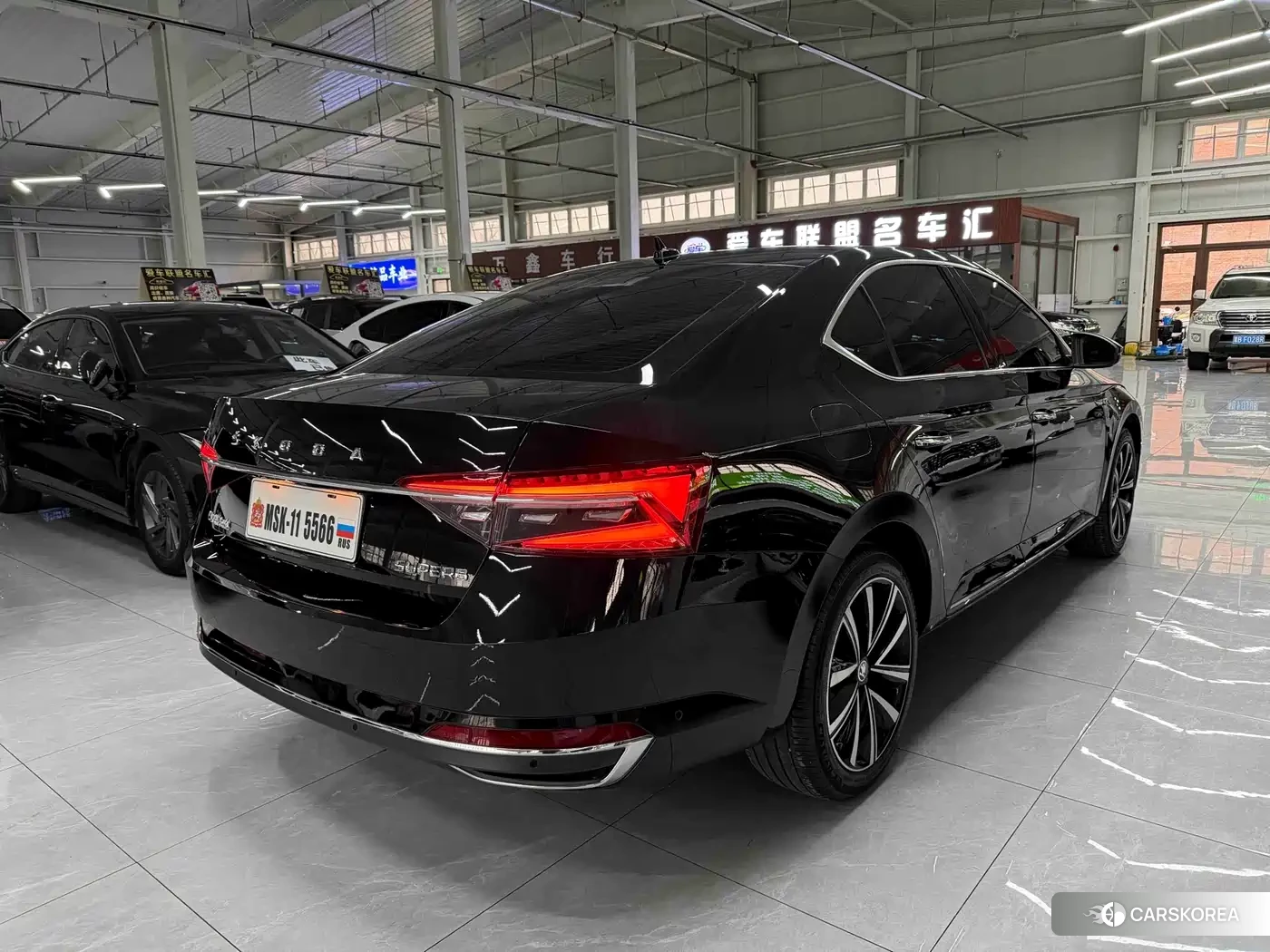 Skoda Speed pie id 4570368 из Китая 13