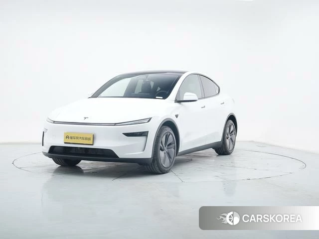 Tesla Model Y id 4199020 из Китая 22