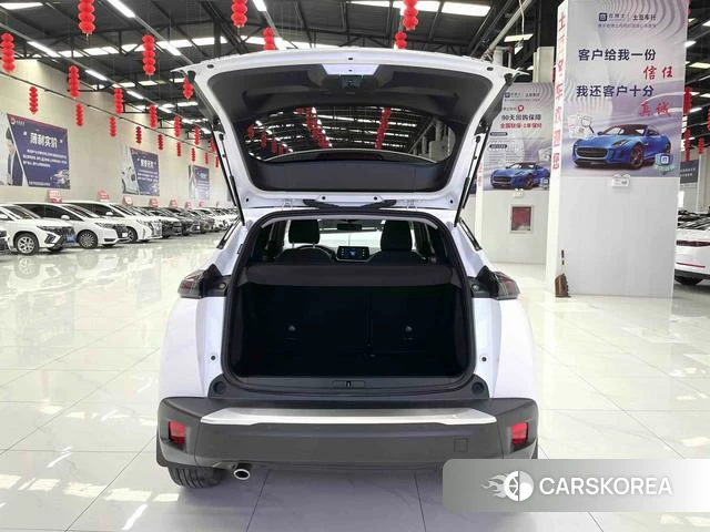Peugeot 2008 id 4207453 из Китая 11