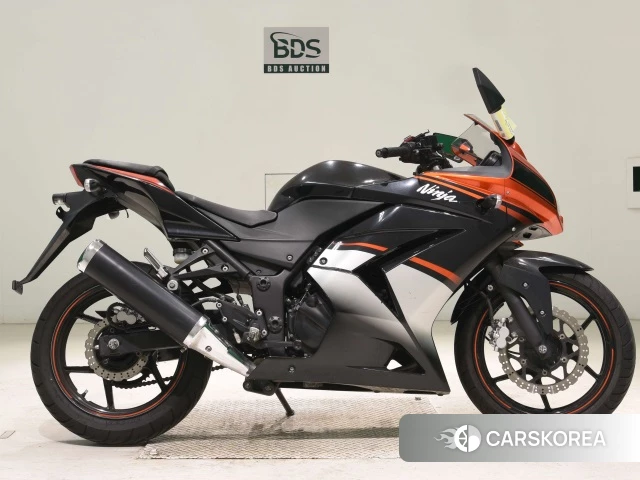 Kawasaki NINJA 250R 2012 из Японии, фото 2