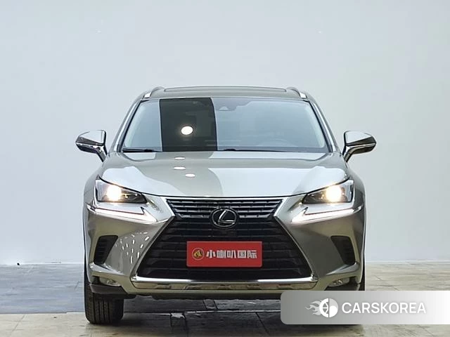 Lexus NX id 4298360 из Китая 14