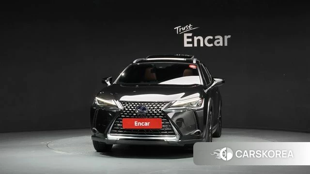 Lexus UX250h id 4873102 из Кореи 13