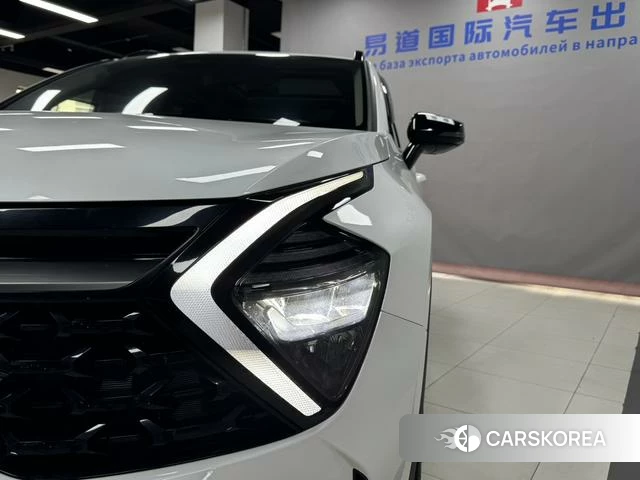 Kia Lion Platinum expands the world id 4209049 из Китая 16