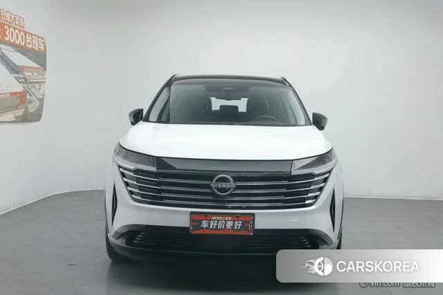 Nissan Exploring the land id 4307145 из Китая 17