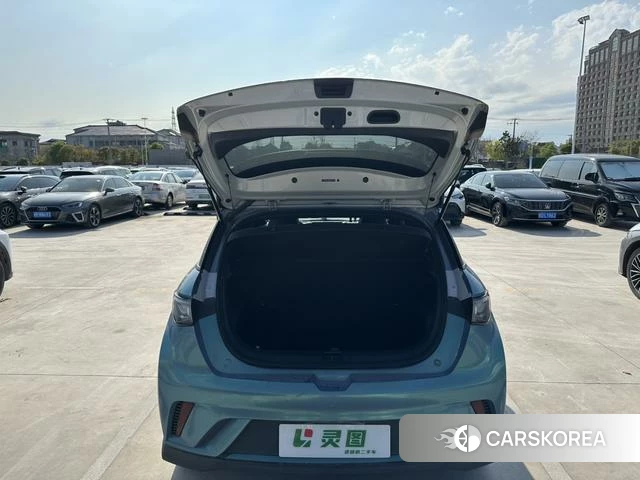 BYD dolphin id 4240196 из Китая 23