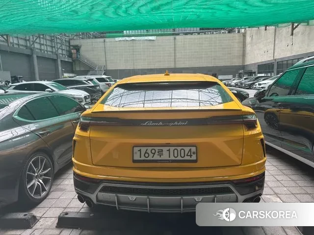 Lamborghini Urus 2020 Белый из Кореи, фото 3