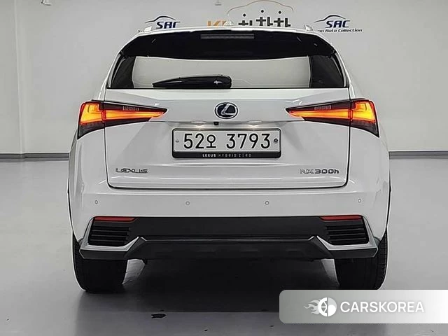 Lexus NX300h id 4325678 из Кореи 12