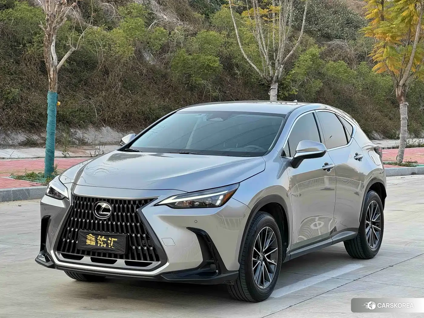 Lexus NX 2023 Silver/gray из Китая, фото 3