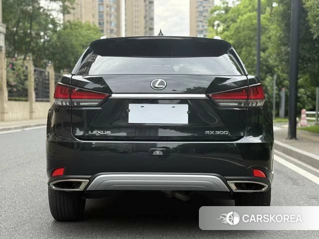 Lexus RX id 4359116 из Китая 7