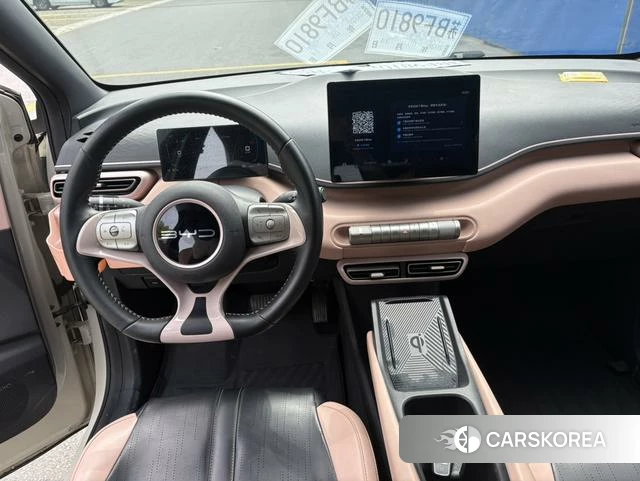 BYD Seagull 2023 Другой из Китая, фото 4