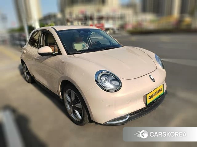 Euler Good cat 2022 Другой из Китая, фото 3