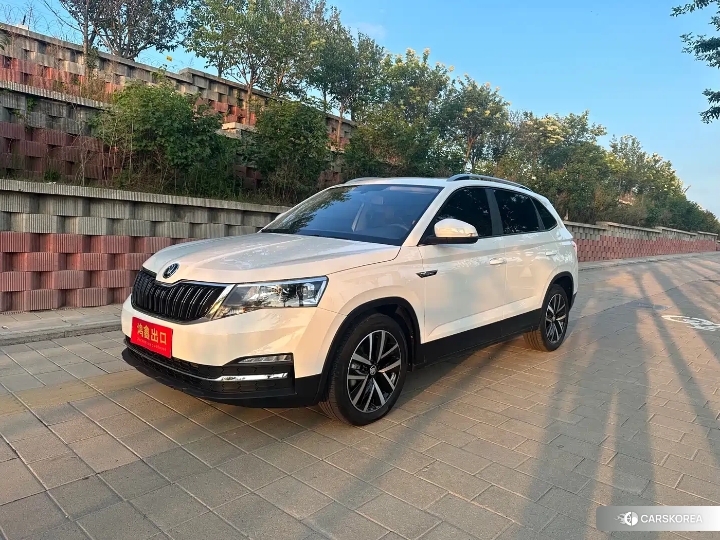 Skoda Kamiq id 4622587 из Китая 9
