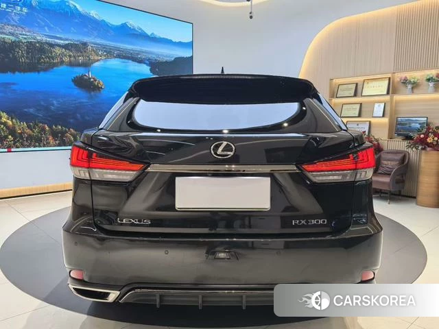 Lexus RX id 4277446 из Китая 22