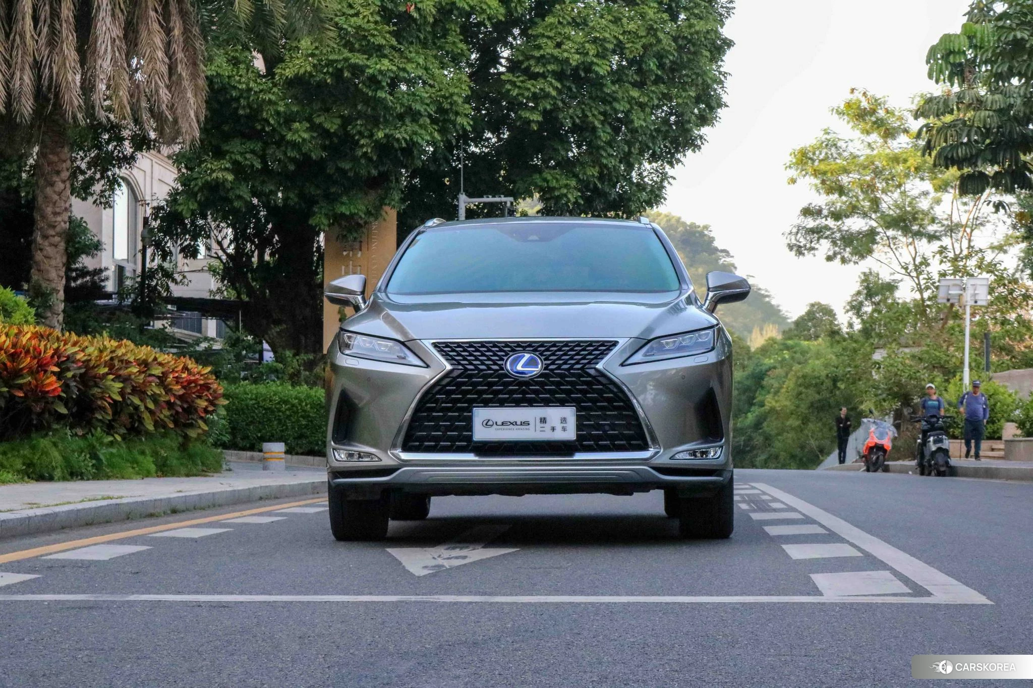 Lexus RX 2019 Серебристо-серый из Китая, фото 5