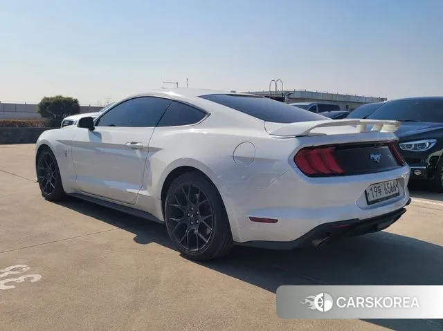 Ford Mustang id 3766305 из Кореи 11