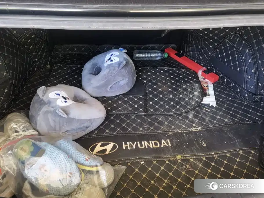 Hyundai Name picture id 4653921 из Китая 9