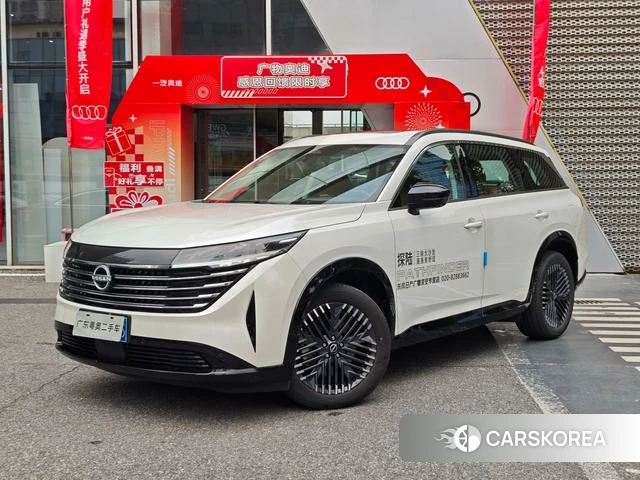 Nissan Exploring the land id 4261465 из Китая 11