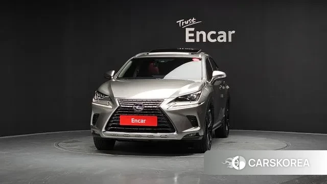 Lexus NX300h id 3024506 из Кореи 13