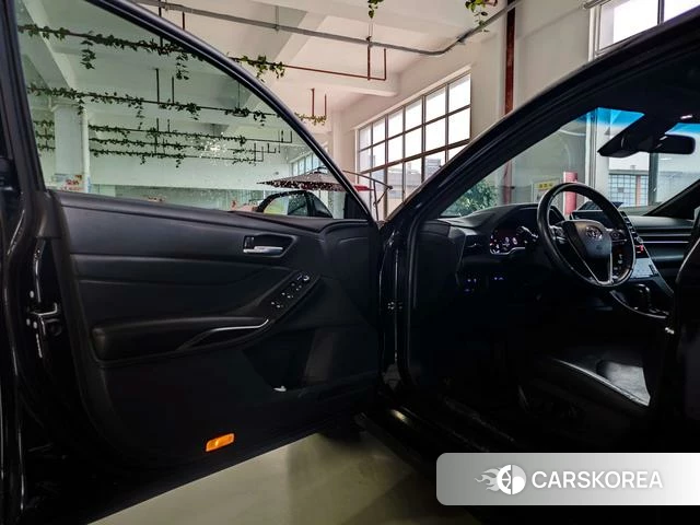 Toyota Asian dragon id 4240461 из Китая 19