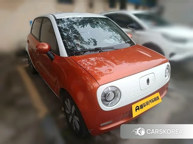 Euler Black cat 2021 Другой из Китая, фото 3
