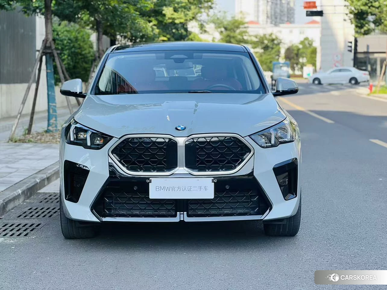 BMW X2 (import) id 4461822 из Китая 10