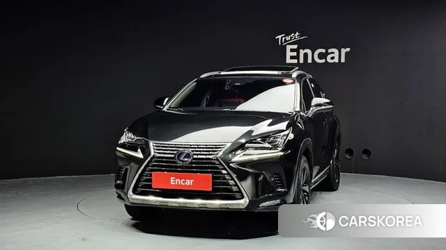 Lexus NX300h id 3509616 из Кореи 13