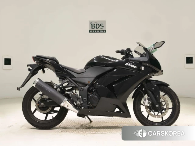 Kawasaki NINJA 250R 2010 из Японии, фото 4