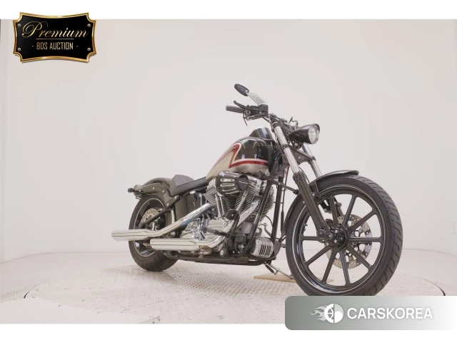 Проданный Harley-Davidson Softail Standart FXST1580 2010 из Японии, фото 4