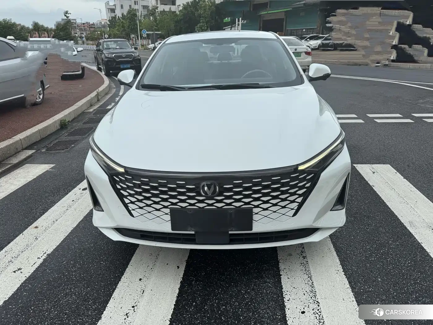 Chang'an Ruicheng PLUS id 4628216 из Китая 8