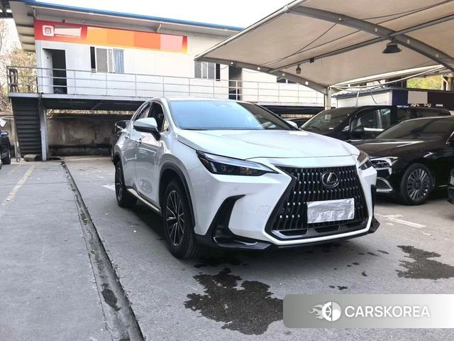 Lexus NX 2023 Белый из Китая, фото 3