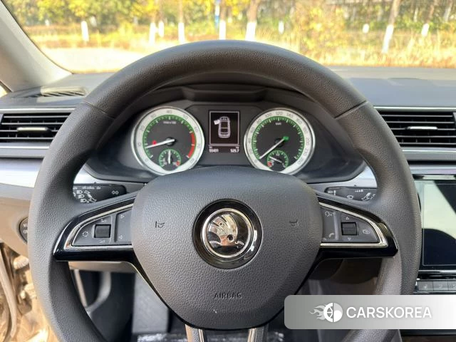 Skoda Speed pie id 3869879 из Китая 14