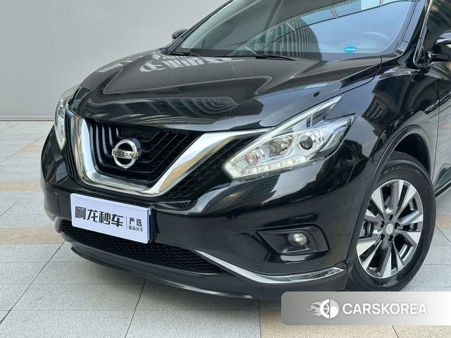 Nissan Loulan id 4220545 из Китая 15