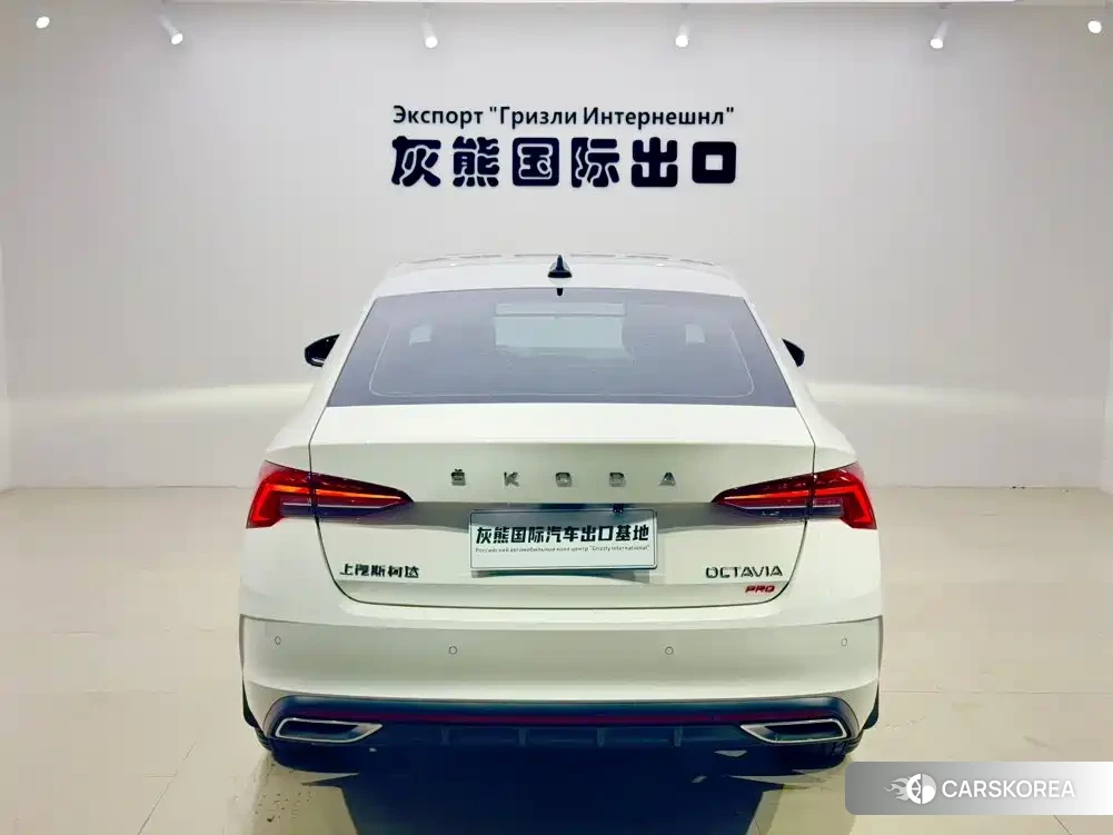 Skoda Octavia id 4570755 из Китая 11