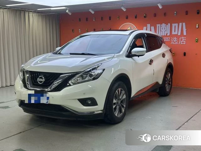 Nissan Loulan id 4208371 из Китая 19