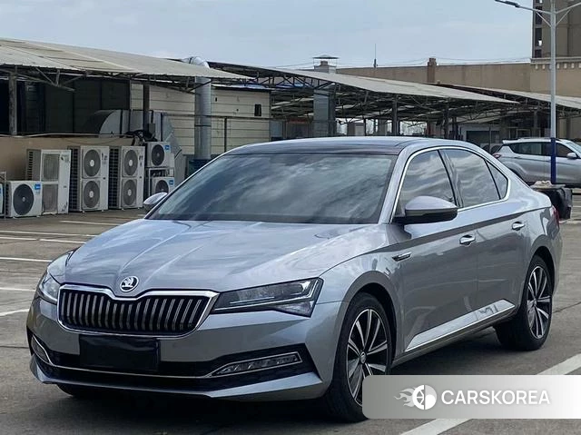 Skoda Speed pie id 4253843 из Китая 7
