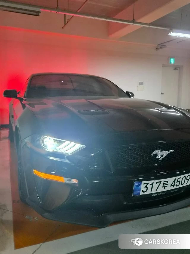 Ford Mustang id 4300572 из Кореи 13
