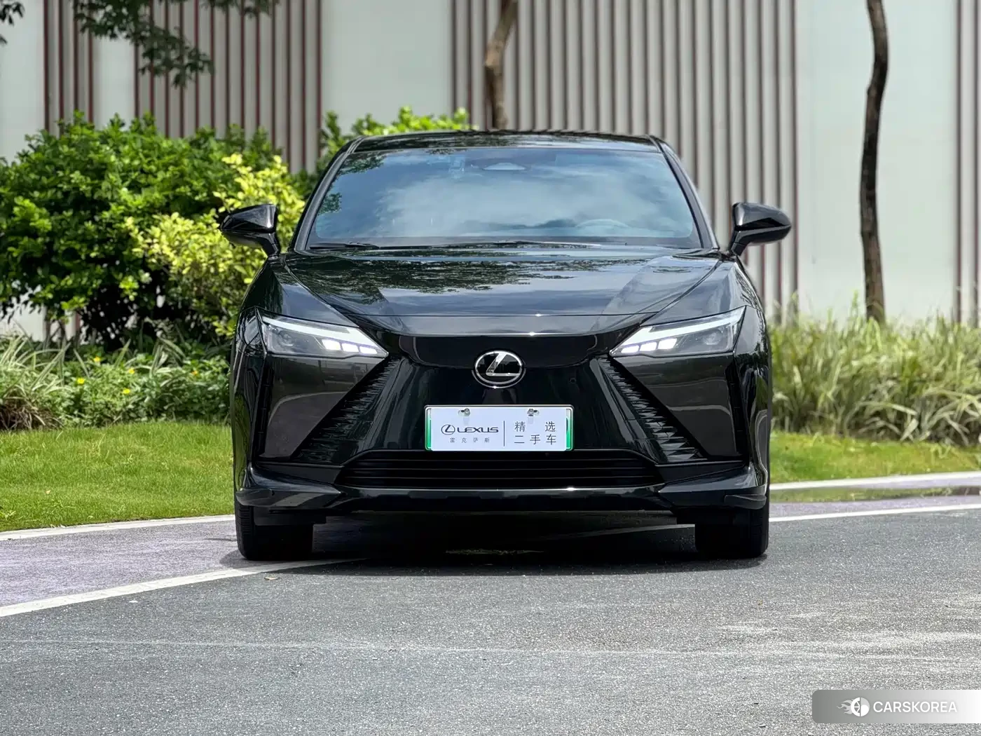 Lexus RZ id 4674537 из Китая 11