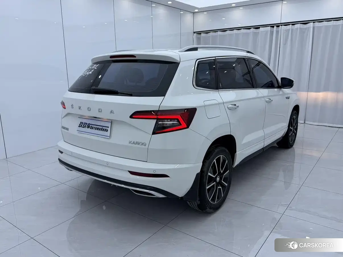 Skoda Karoq id 4583799 из Китая 10