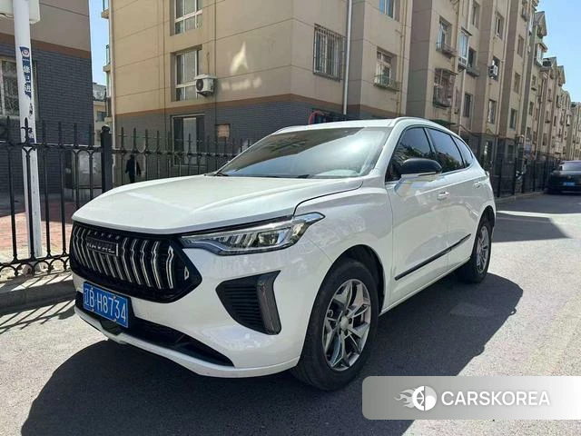 Haval Red Rabbit 2025 Белый из Китая, фото 5