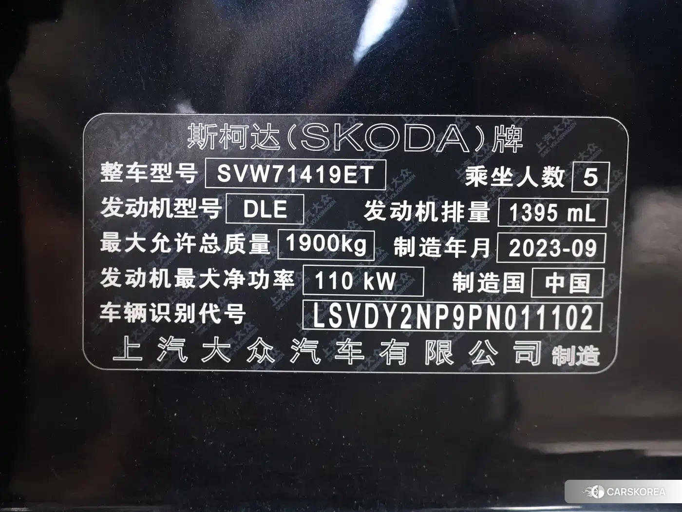 Skoda Speed pie id 4515545 из Китая 9